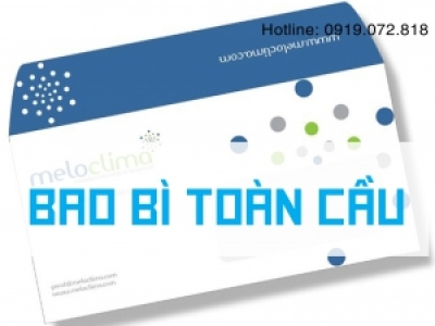 In bao thư chuyển phát nhanh giá ưu đãi tại Củ Chi