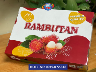 In hộp carton đựng chôm chôm xuất khẩu chất lượng cao