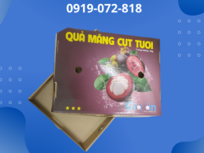 In hộp carton đựng măng cụt giá rẻ, chất lượng tại Tp.HCM