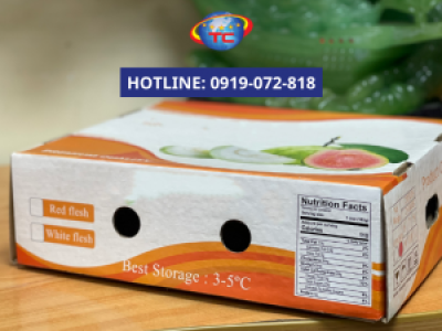 In hộp carton đựng ổi mẫu mã đẹp, giá ưu đãi tại Củ Chi