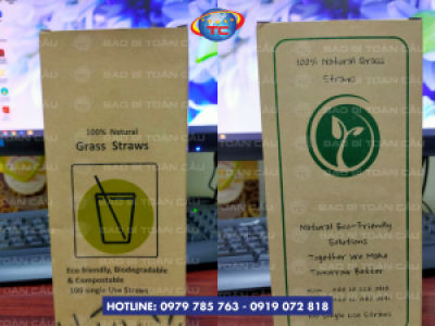 In hộp giấy đựng ống hút gạo rẻ đẹp tại Tp.HCM