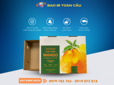 In khay âm dương đựng xoài chất lượng, giá gốc tại xưởng