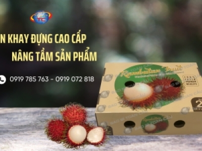 In khay carton đựng nông sản giá rẻ ở đâu?