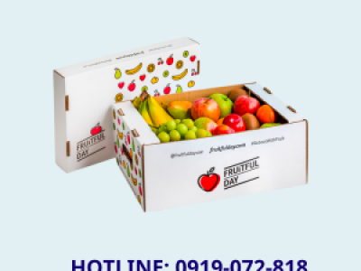 In khay đựng trái cây giá rẻ tại Củ Chi 