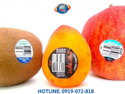 In tem nhãn trái cây giá rẻ, chất lượng tốt tại Củ Chi