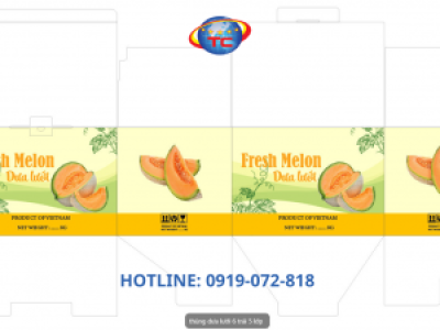 In thùng carton 5 lớp đựng dưa lưới theo yêu cầu 