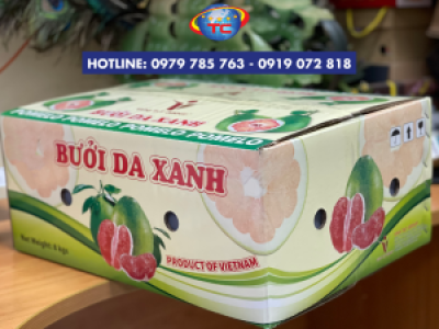 In thùng carton đựng bưởi da xanh chuyên nghiệp, giá gốc tại xưởng ở Tp.HCM
