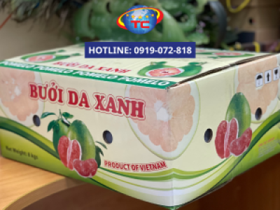In thùng carton đựng bưởi theo yêu cầu 