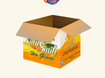 In thùng carton đựng cam giá rẻ, chất lượng