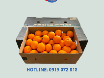 In thùng carton đựng cam sành xuất khẩu giá rẻ, mẫu mã đẹp tại Củ Chi