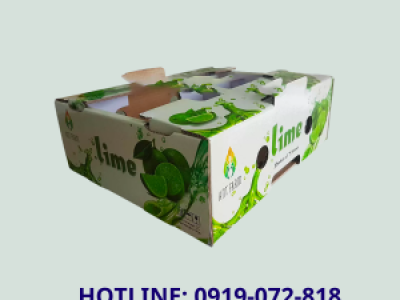 In thùng carton đựng chanh xuất khẩu Dubai