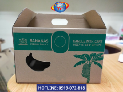 In thùng carton đựng chuối xuất khẩu giá tốt tại Củ Chi
