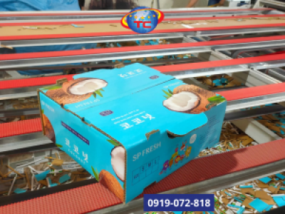 In thùng carton đựng dừa 5 lớp chất lượng tại Tp.HCM
