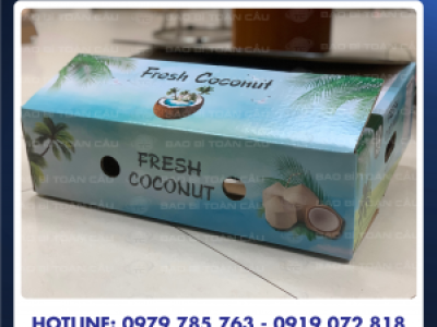 In thùng carton đựng dừa giá rẻ, chất lượng tại Củ Chi