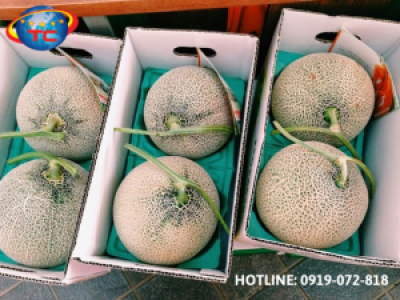 In thùng carton đựng dưa lưới rẻ đẹp, chất lượng