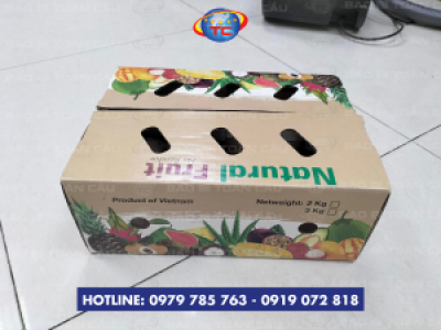 In thùng carton đựng nông sản giá tốt tại Củ Chi