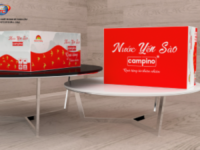 In thùng carton đựng nước yến mẫu mã đẹp, giá ưu đãi tại Tp.HCM