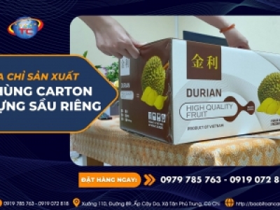 In thùng carton đựng sầu riêng chất lượng, giá rẻ tại Tp.HCM