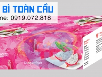 In thùng carton đựng thanh long xuất khẩu giá rẻ
