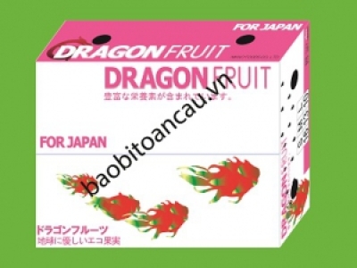 In thùng carton đựng thanh long xuất khẩu giá ưu đãi tại Củ Chi