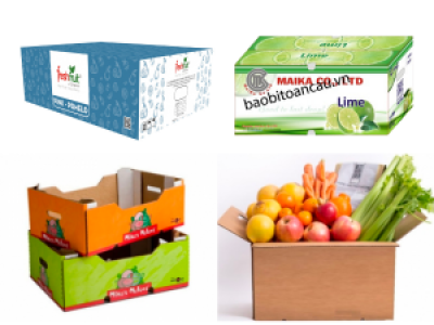 In thùng carton đựng trái cây theo yêu cầu
