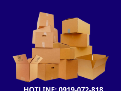 In thùng carton đựng trái cây xuất khẩu chống thấm tốt