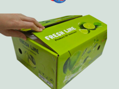 In thùng carton đựng trái cây xuất khẩu giá rẻ, mọi kích thước theo yêu cầu