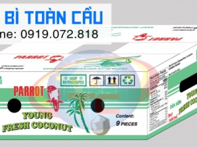 In thùng carton đựng trái dừa giá rẻ tại Tp.HCM
