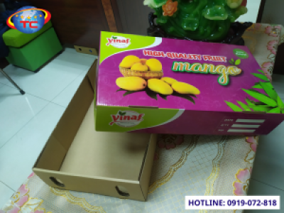 In thùng carton đựng xoài giá rẻ tại Củ Chi