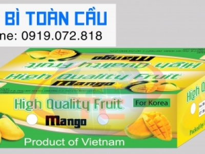 In thùng carton đựng xoài chất lượng tại Tp.HCM