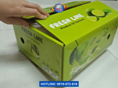 In thùng chanh tươi 6.5kg giá rẻ, chất lượng cao