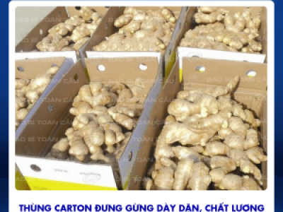 In thùng đựng gừng giá rẻ ở Củ Chi