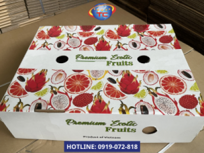 In thùng đựng nông sản uy tín, chất lượng ở đâu? 