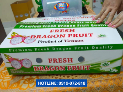 In thùng thanh long chất lượng, giá rẻ theo yêu cầu tại Tp.HCM