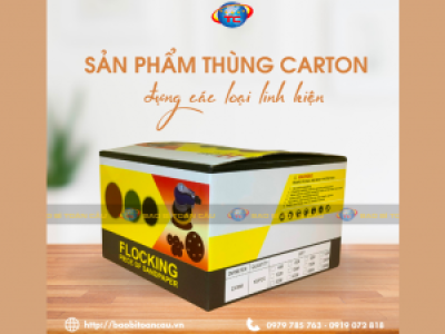 In thùng đựng thiết bị, linh kiện giá tốt nhất tại Tp.HCM