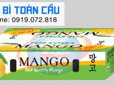 In thùng xoài xuất khẩu giá rẻ tại TP.HCM