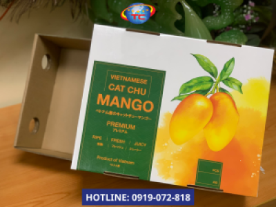 In thùng xoài xuất khẩu giá ưu đãi tại Củ Chi