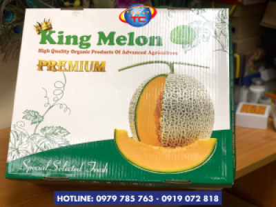 In thùng carton đựng dưa lưới giá gốc tại xưởng