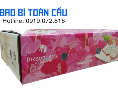 Thùng giấy 5 lớp đựng thanh long: khi nào nên dùng, ưu điểm nổi bật và giới hạn cần lưu ý