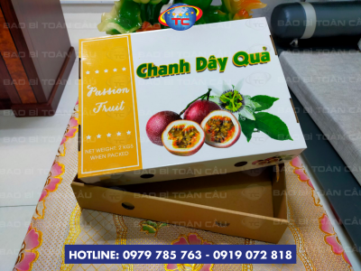 Đổi Mới Trong Đóng Gói Trái Cây Độc Đáo: Khay Chanh Châm và Dứa Xuất Khẩu