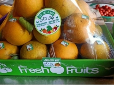 IN KHAY ĐỰNG TRÁI CÂY HOA QUẢ