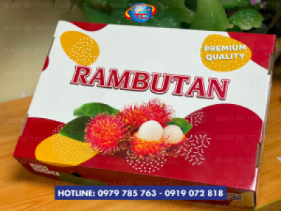 Khay âm dương đựng chôm chôm xuất khẩu giá rẻ, chất lượng tại Tp.HCM