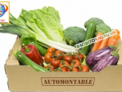 MẪU THÙNG RAU CỦ XUẤT KHẨU