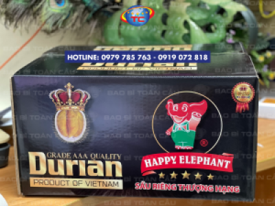 Mẫu thùng sầu riêng đẹp, đạt chuẩn chất lượng ở Củ Chi