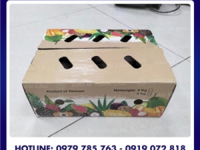 Một số mẫu thùng carton in flexo đẹp, chất lượng tại TOÀN CẦU