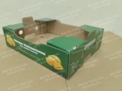 Ở đâu sở hữu dịch vụ sản xuất thùng đựng xoài uy tín giá tốt