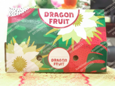 Công ty chuyên sản xuất thùng khay thanh long xuất khẩu uy tín