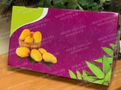 Địa chỉ chuyên sản xuất bao bì thùng đựng xoài