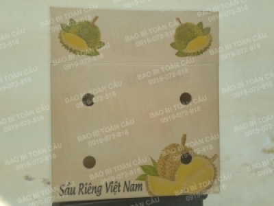 Sản xuất carton đựng sầu riêng xuất khẩu chất lượng cao