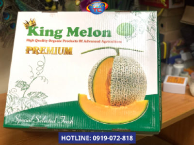 Sản xuất hộp carton đựng dưa lưới xuất khẩu tại Củ Chi
